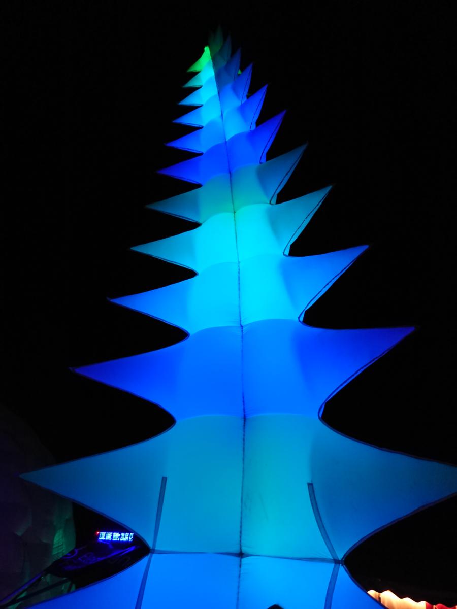 DSC_0714.JPG