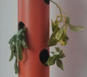 Thumbnail Image for Freifeld 2013